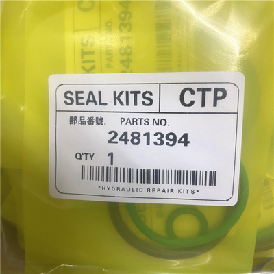 2481394 Injector Kit Parts 3406E C15 ACERT Fuel Injector O Ring Kit